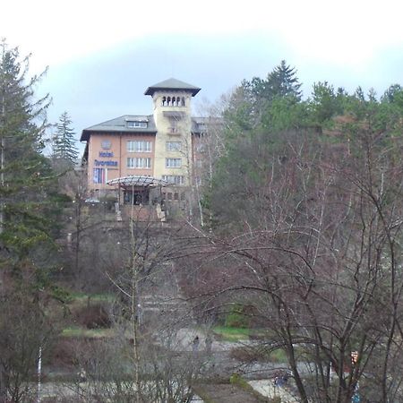 Апартамент Ренета Apartment Reneta Velingrad Eksteriør billede