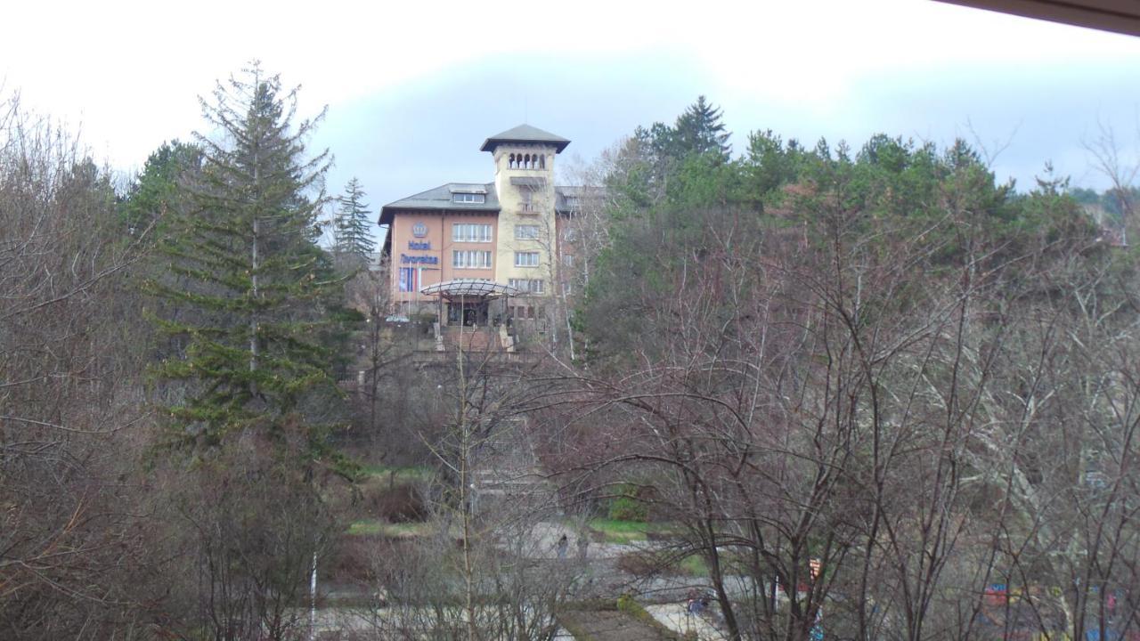 Апартамент Ренета Apartment Reneta Velingrad Eksteriør billede