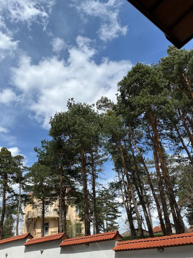 Апартамент Ренета Apartment Reneta Velingrad Eksteriør billede